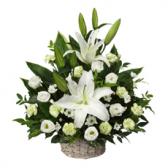 118027(�������ѥ����)