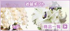 ѥե