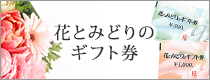 花とみどりのギフト券