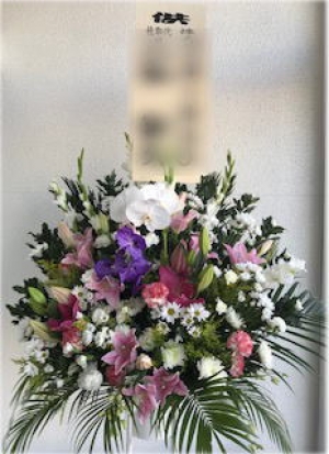 千歳シティーホール お通夜 葬儀 告別式の供花 葬儀花 当日 即日配達可千歳シティーホール 北海道 千歳市 花キューピット加盟店花 銀がお届けする全国の主要施設情報 千歳シティーホール お通夜 葬儀 告別式の供花 葬儀花 当日 即日配達可千歳シティーホール 北海道 千歳市 花キューピット加盟店花 銀がお届けする全国の主要施設情報