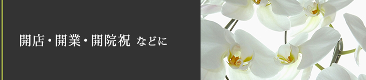 開店・開業・開院祝 などに