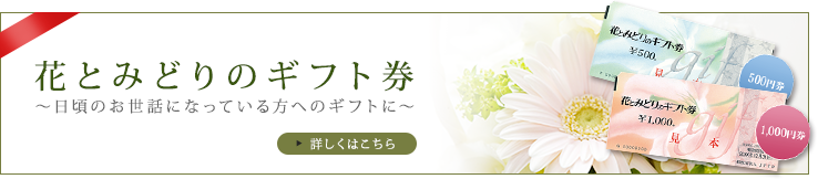 花とみどりのギフト券～日頃のお世話になっている方へのギフトに～