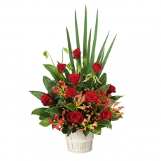 アレンジメント - 525229