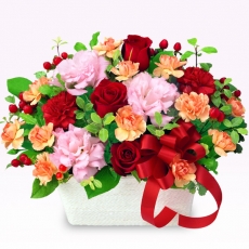 アレンジメント - 525082