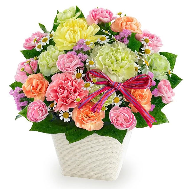 (カーネーションのミックスアレンジメント)