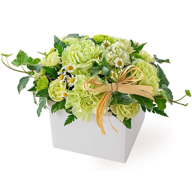 (ロマンチック・グリーン)