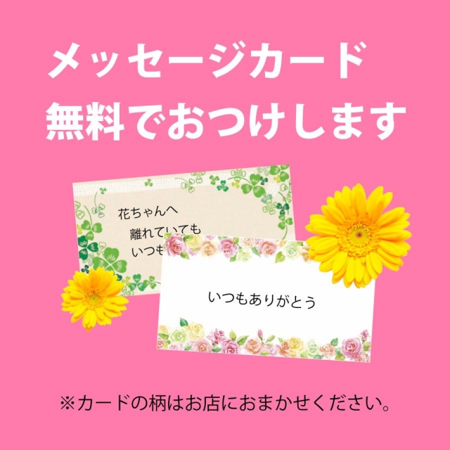 (赤バラとカーネーションの母の日アレンジメント)