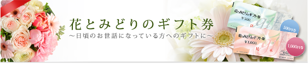 花とみどりのギフト券