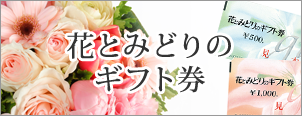 法人登録会員について