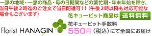 [花キューピット・花キューピット加盟店。当日配達もOK。フラワーギフト専門の花屋。スタンド花・コチョウラン・観葉植物・葬儀花・供花・花束・アレンジメントなどを母の日・誕生日・開店祝など用途に応じて日本全国・海外へお届け！]Florist HANAGIN（花銀）