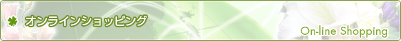 オンラインショッピング - On-line Shopping -