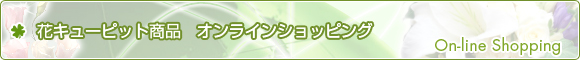 ֥塼ԥåȾʡ饤󥷥åԥ - On-line Shopping -