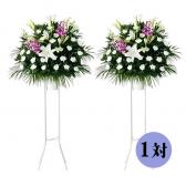 �����������(����)