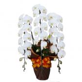 �򥳥��祦���(��)