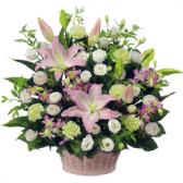 118030(�������ѥ����)