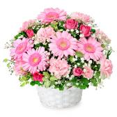 525249(アレンジメント)