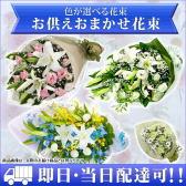 EB-15000(��������«)