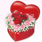 511569(�ϡ���BOX�����)