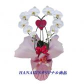 �ϡ��ȸ�ĳ��(�ߥ�/��)