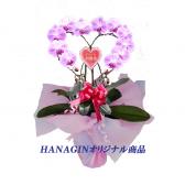 �ϡ��ȸ�ĳ��(�ߥ�/�ԥ�)