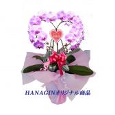 �ϡ��ȸ�ĳ��(��/�ԥ�)