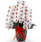 ���դ���ĳ��(��å�)