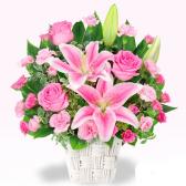 511782(����󥸥���)