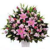 511582(����󥸥���)