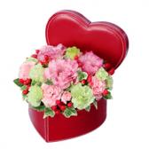 511756(アレンジメント)