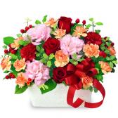 525082(アレンジメント)