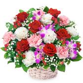 525252(����󥸥���)