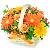 511335(����󥸥���)