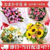 TOB-4046(���ޤ�����«)