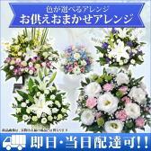 EA-13137(�����������)