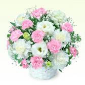 511973(�������ѥ����)