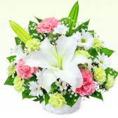 525083(�������ѥ����)