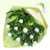 524096(�������Ѳ�«)