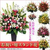 ������ɲ�2��35