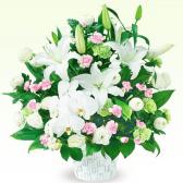 511873(�������ѥ����)