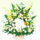 118032(�������ѥ����)