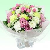 511078(�������Ѳ�«)