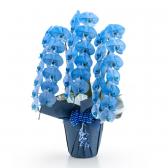 ���դ���ĳ��(�ͥ��ӡ�)