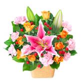 525136(アレンジメント)