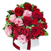 512443(アレンジメント)