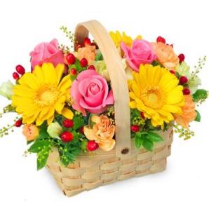 525227(アレンジメント)