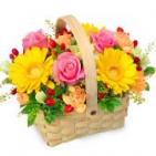 525227(アレンジメント)