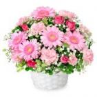 525249(アレンジメント)