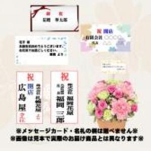 524076(アレンジメント)