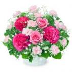 525069(アレンジメント)