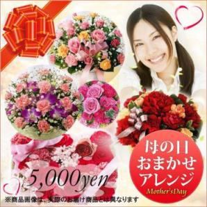 MOA-5000(アレンジ)